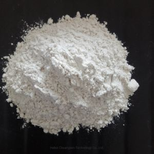 Polyanionic Cellulose PAC DLV